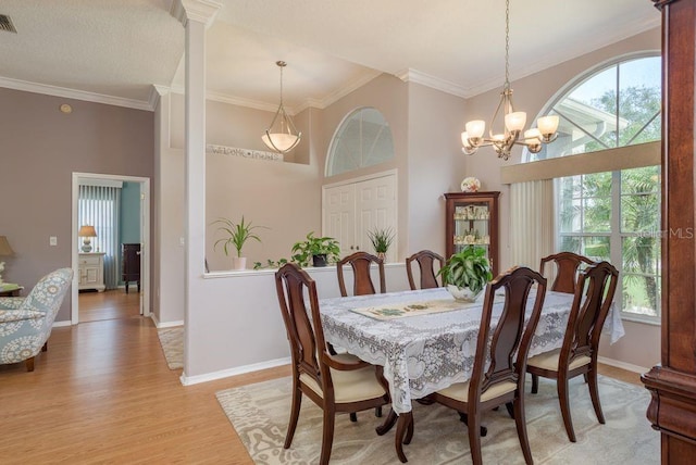 8214 Silver Mist Pl, Trinity, FL 34655 - photo 11