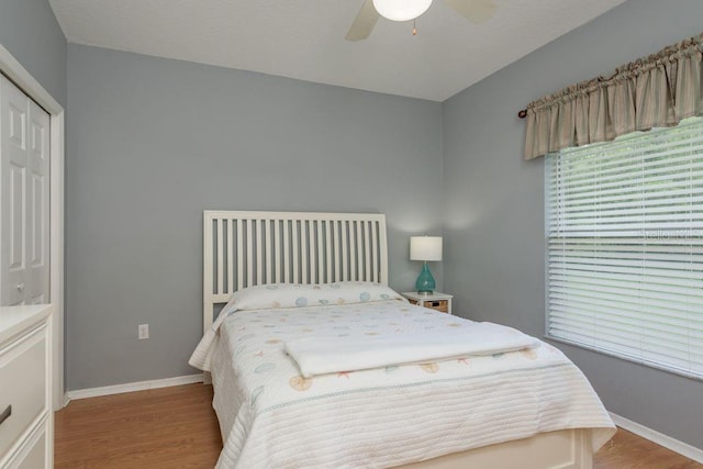 8214 Silver Mist Pl, Trinity, FL 34655 - photo 32