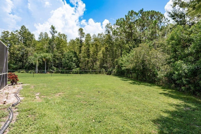 8214 Silver Mist Pl, Trinity, FL 34655 - photo 47