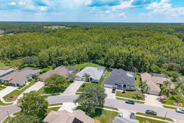 8214 Silver Mist Pl, Trinity, FL 34655 - photo 52