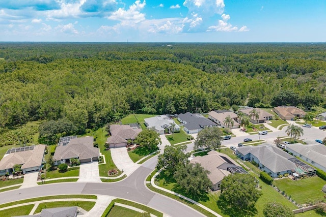 8214 Silver Mist Pl, Trinity, FL 34655 - photo 53