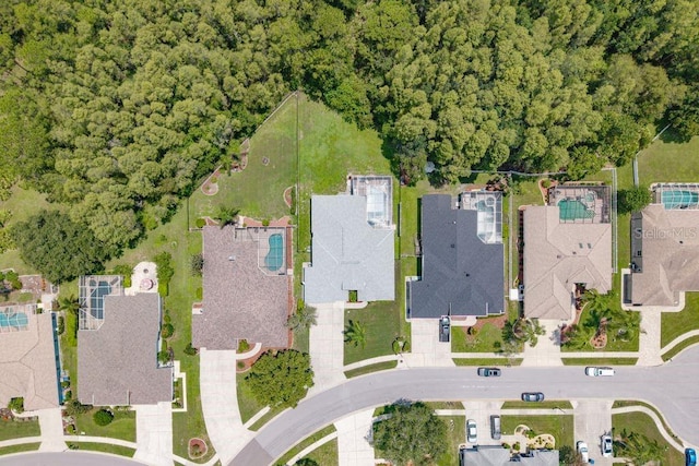 8214 Silver Mist Pl, Trinity, FL 34655 - photo 54