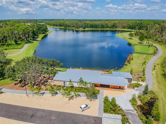 3833 Villamore Ln, Odessa, FL 33556 - photo 64
