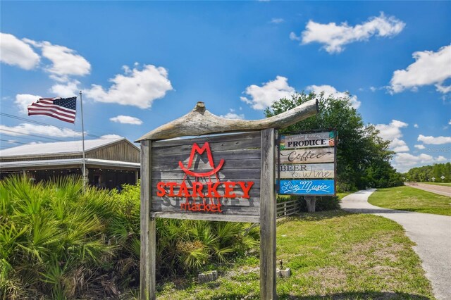 3833 Villamore Ln, Odessa, FL 33556 - photo 65