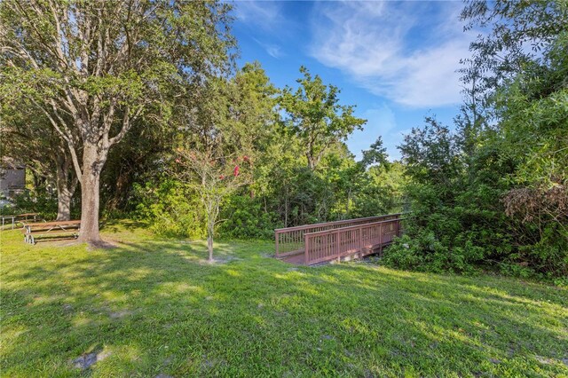 4322 Fincastle Ct, Tampa, FL 33624 - photo 52