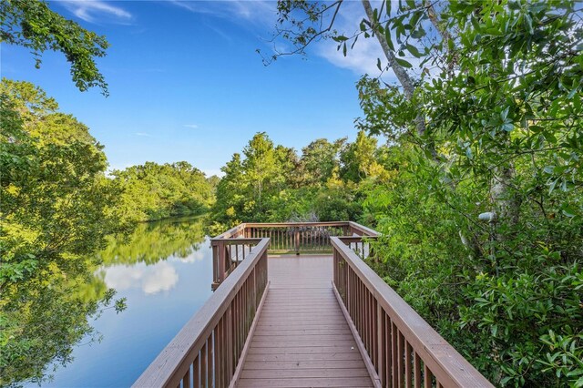 4322 Fincastle Ct, Tampa, FL 33624 - photo 54