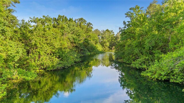 4322 Fincastle Ct, Tampa, FL 33624 - photo 56