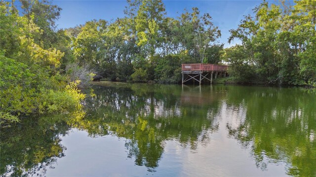 4322 Fincastle Ct, Tampa, FL 33624 - photo 57