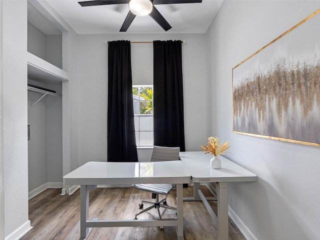 4401 S Trask St, Tampa, FL 33611 - photo 41