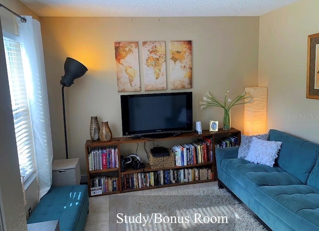 5139 Corvette Dr, Tampa, FL 33624 - view of living room