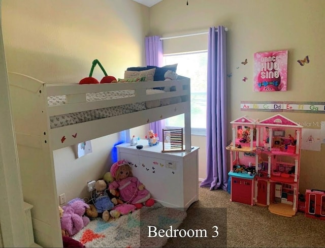 5139 Corvette Dr, Tampa, FL 33624 - bedroom with carpet floors