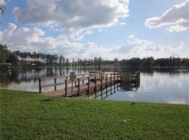 5139 Corvette Dr, Tampa, FL 33624 - dock area with a water view and a lawn