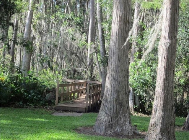 5139 Corvette Dr, Tampa, FL 33624 - view of grassy yard with a view of trees