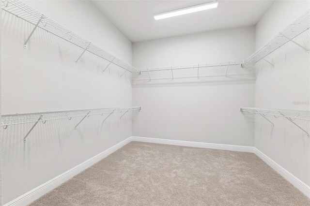 6035 Nikki Ln, Odessa, FL 33556 - photo 29