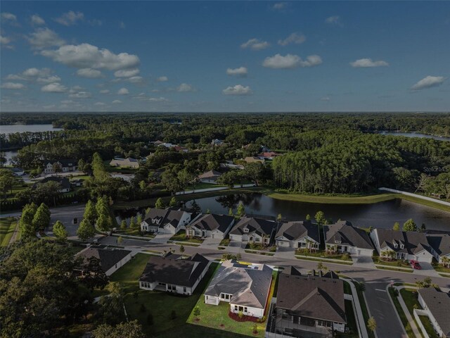 6035 Nikki Ln, Odessa, FL 33556 - photo 46
