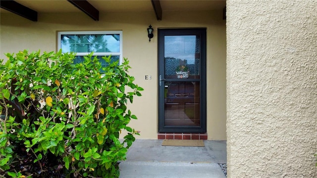 1701 Pinehurst Rd Unit 33E, Dunedin, FL 34698 - entrance to property featuring stucco siding