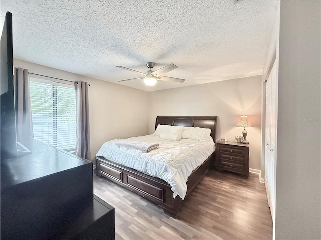 630 Timber Bay Cir W, Oldsmar, FL 34677 - bedroom with wood finished floors, a textured ceiling, and a ceiling fan