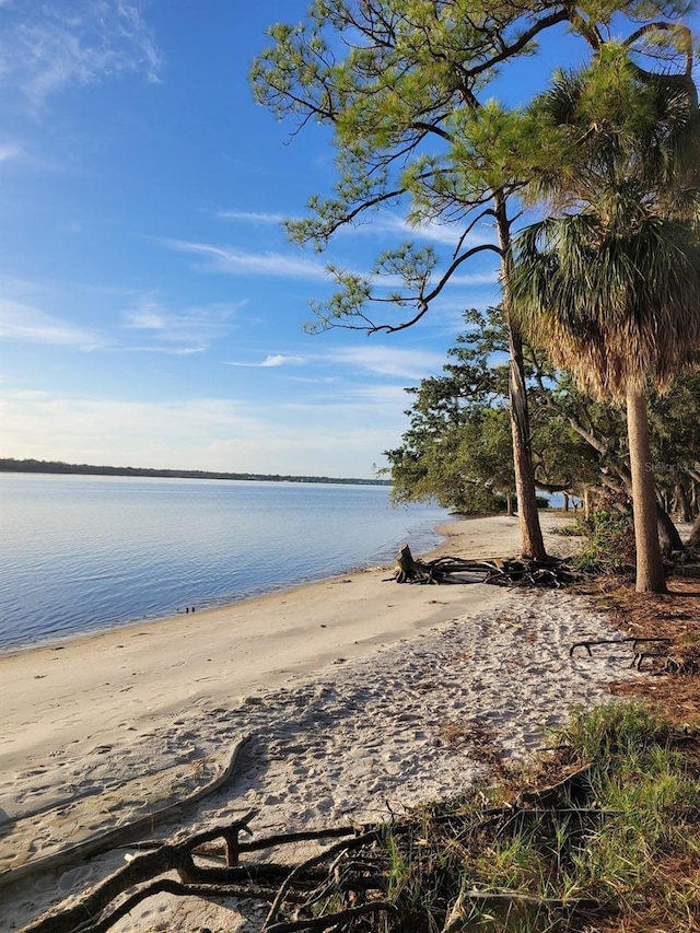 630 Timber Bay Cir W, Oldsmar, FL 34677 - water view