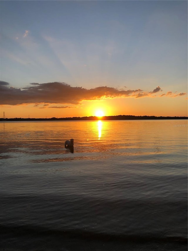 630 Timber Bay Cir W, Oldsmar, FL 34677 - water view