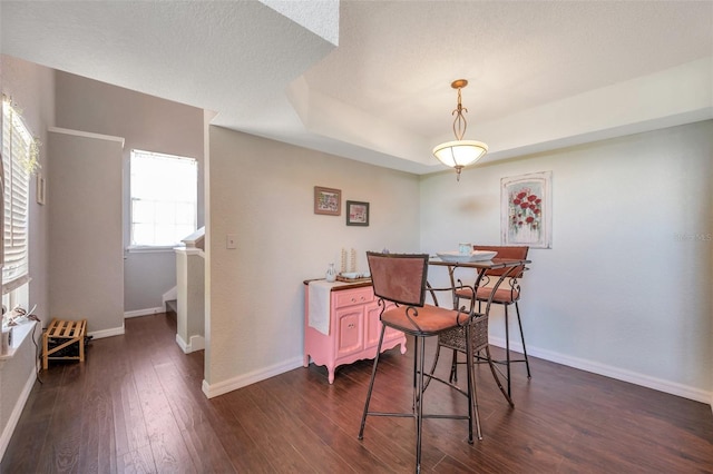 3301 Haviland Ct Unit 301, Palm Harbor, FL 34684 - dining area with dark wood finished floors and a raised ceiling