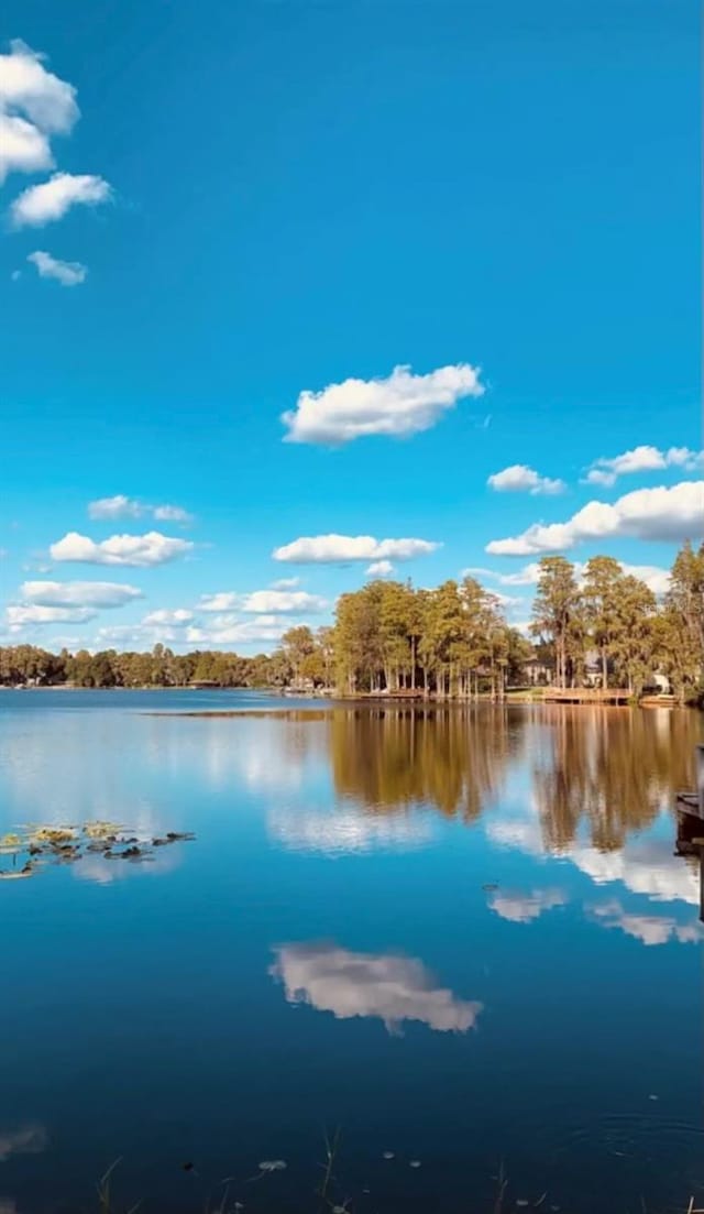 20111 County Line Rd, Lutz, FL 33558 - water view