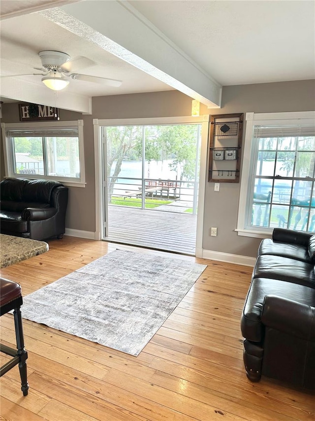 20111 County Line Rd, Lutz, FL 33558 - living room with healthy amount of natural light, beam ceiling, light wood finished floors, and ceiling fan