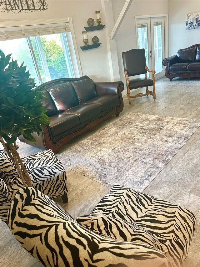 20111 County Line Rd, Lutz, FL 33558 - living room featuring wood finished floors and french doors