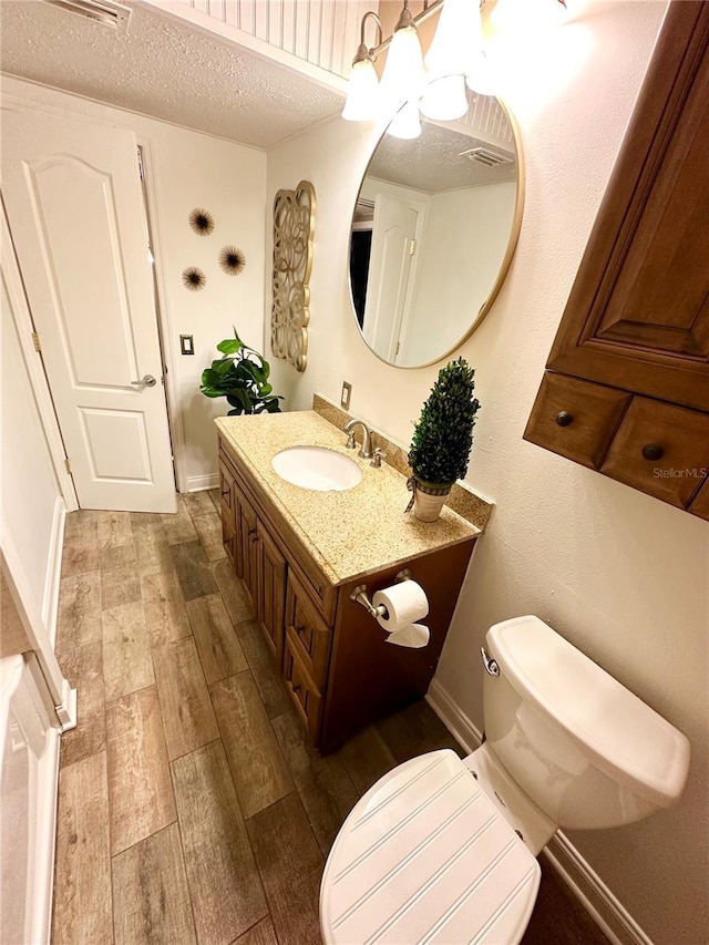 20111 County Line Rd, Lutz, FL 33558 - bathroom featuring wood finished floors, vanity, and a textured ceiling