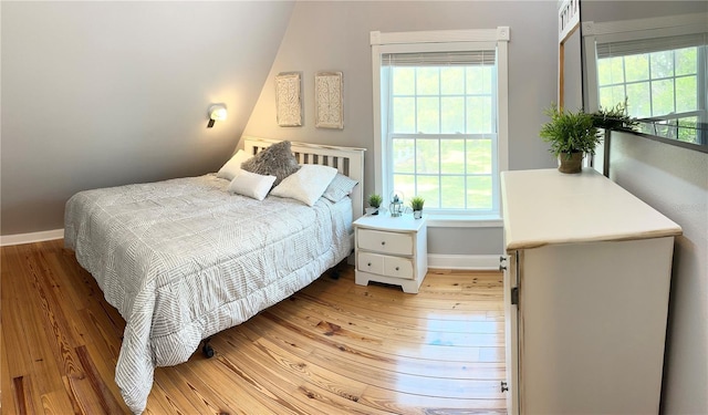 20111 County Line Rd, Lutz, FL 33558 - bedroom with light wood-type flooring and multiple windows