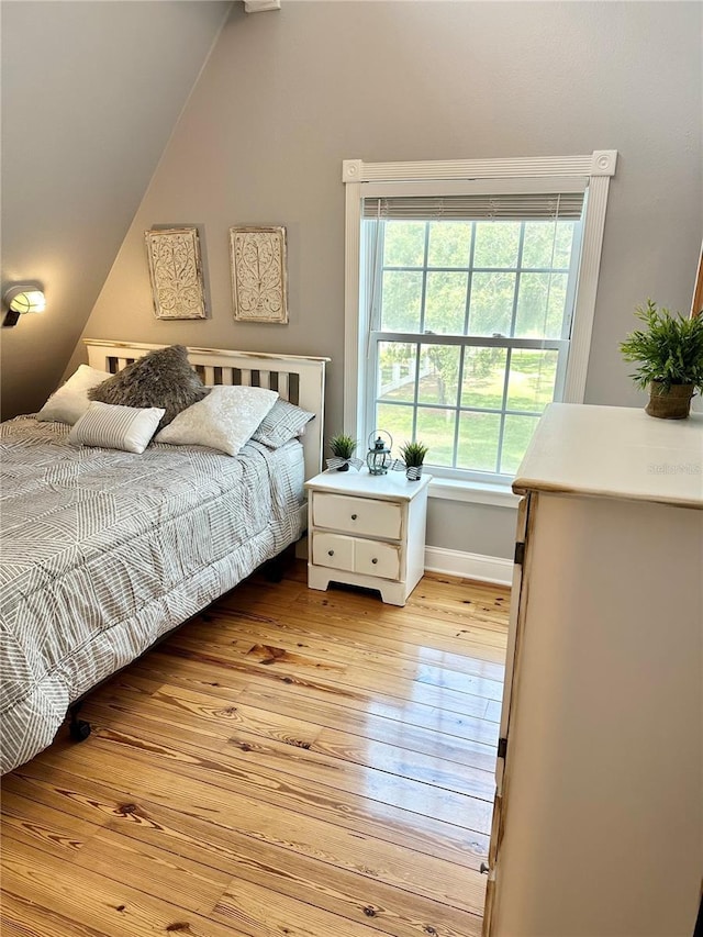 20111 County Line Rd, Lutz, FL 33558 - bedroom with light wood finished floors and vaulted ceiling