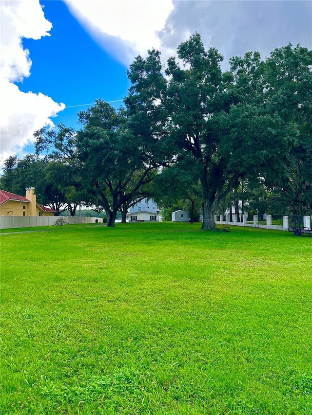 20111 County Line Rd, Lutz, FL 33558 - view of yard