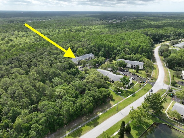 3232 Lake Pine Way E Unit A2, Tarpon Springs, FL 34688 - aerial view of a forest