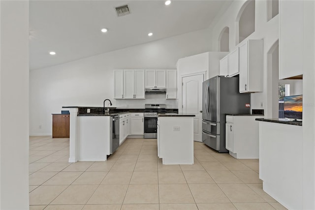 19206 Ivy Oak Way, Tampa, FL 33647 - kitchen featuring appliances with stainless steel finishes, under cabinet range hood, white cabinets, a peninsula, and dark countertops