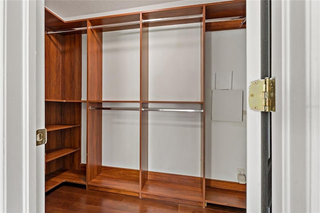 19206 Ivy Oak Way, Tampa, FL 33647 - walk in closet with dark wood-style flooring