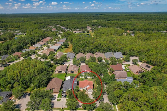 19206 Ivy Oak Way, Tampa, FL 33647 - aerial perspective of suburban area featuring a forest