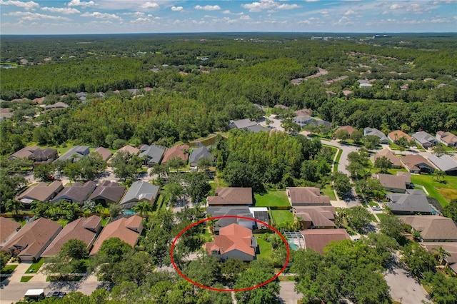 19206 Ivy Oak Way, Tampa, FL 33647 - aerial view of residential area with a forest