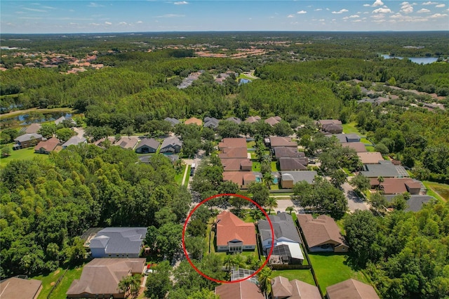 19206 Ivy Oak Way, Tampa, FL 33647 - aerial view of residential area featuring a heavily wooded area and a nearby body of water