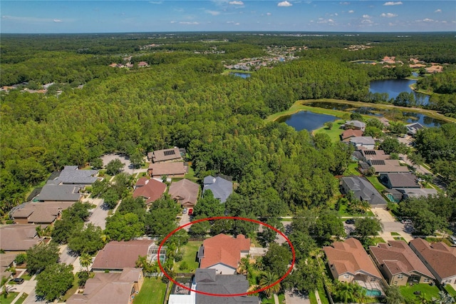 19206 Ivy Oak Way, Tampa, FL 33647 - aerial perspective of suburban area featuring a heavily wooded area and a large body of water