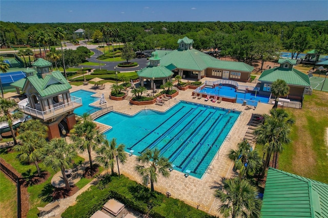 19206 Ivy Oak Way, Tampa, FL 33647 - community pool with a gazebo, a wooded view, and a patio