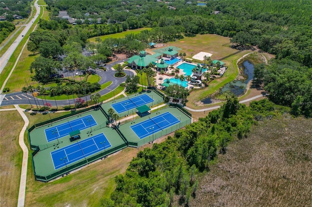 19206 Ivy Oak Way, Tampa, FL 33647 - aerial view of a pool and a heavily wooded area