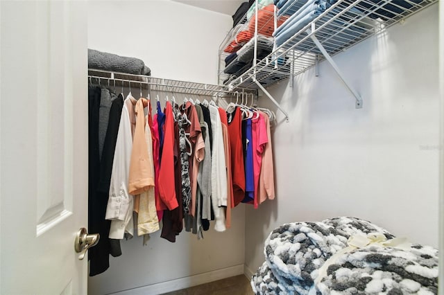 8823 Aruba Ln, Port Richey, FL 34668 - view of spacious closet