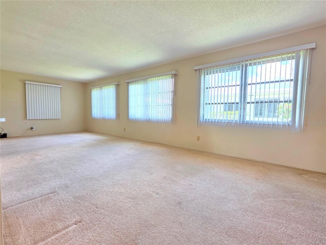 3605 100th Ter N, Pinellas Park, FL 33782 - photo 13