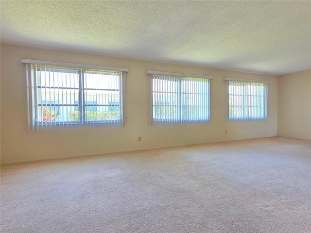 3605 100th Ter N, Pinellas Park, FL 33782 - photo 14