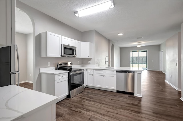 22824 Marsh Wren Dr, Land O Lakes, FL 34639 - photo 9