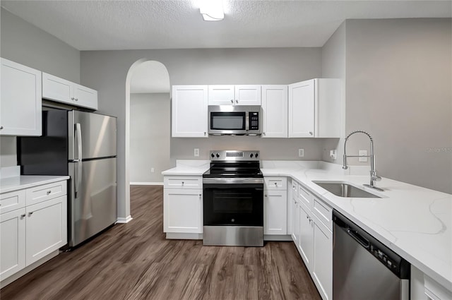 22824 Marsh Wren Dr, Land O Lakes, FL 34639 - photo 11