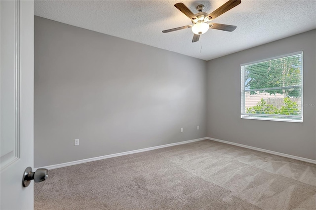 22824 Marsh Wren Dr, Land O Lakes, FL 34639 - photo 21