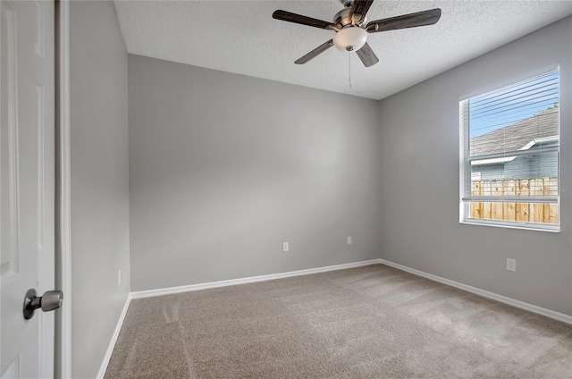 22824 Marsh Wren Dr, Land O Lakes, FL 34639 - photo 31
