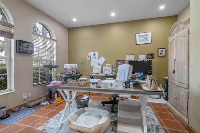 10327 Meadow Crossing Dr, Tampa, FL 33647 - photo 13