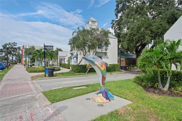 1707 Solon Ave, Dunedin, FL 34698 - surrounding community