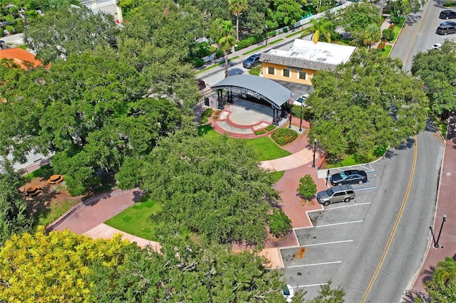 1707 Solon Ave, Dunedin, FL 34698 - drone / aerial view